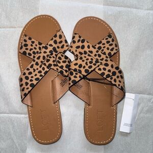 NWT Women's Loft Criss Cross Leopard Sandals